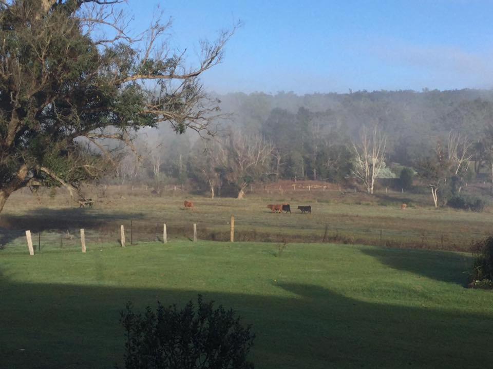 Blackwood Valley 4*