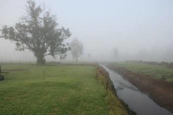 Blackwood Valley 4*